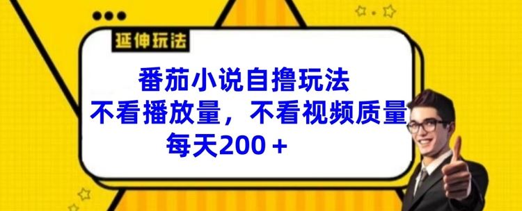 番茄小说自撸玩法，不看播放量，不看视频质量，每天200+【揭秘】-网创项目