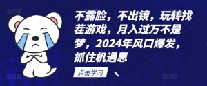 不露脸，不出镜，玩转找茬游戏，月入过万不是梦，2024年风口爆发，抓住机遇【揭秘】-网创项目