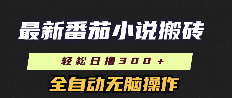 （11904期）最新番茄小说搬砖，日撸300＋！全自动操作，可矩阵放大-网创项目