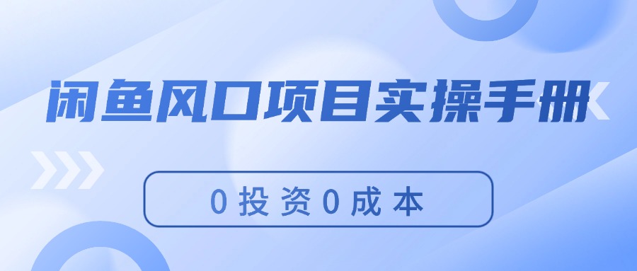 （11923期）闲鱼风口项目实操手册，0投资0成本，让你做到，月入过万，新手可做-网创项目
