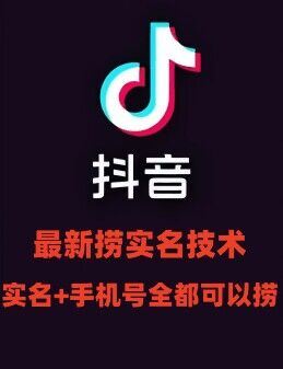 最新技术抖音捞实名+捞手机号技术，抖音直播封禁释放十名/手机号，直接替换出来!-网创项目