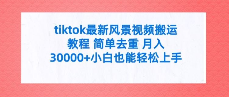 tiktok最新风景视频搬运教程 简单去重 月入3W+小白也能轻松上手【揭秘】-网创项目