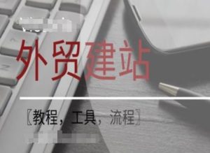 WordPress外贸建站+SEO优化课程【教程，工具，流程】-网创项目