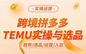 跨境拼多多TEMU实操与选品，多多temu跨境选品运营实操-网创项目