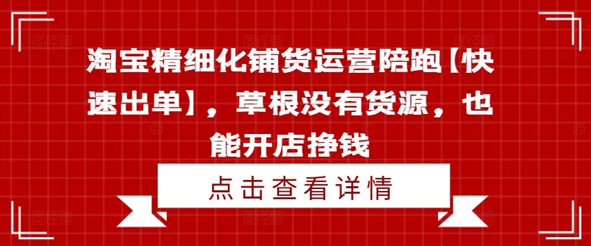 淘宝精细化铺货运营陪跑【快速出单】，草根没有货源，也能开店挣钱-网创项目