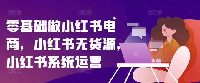 零基础做小红书电商，小红书无货源，小红书系统运营-网创项目