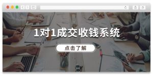 1对1成交收钱系统，全网130万粉丝，十年专注于引流和成交！-网创项目