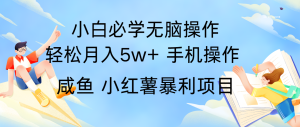 全网首发2024最暴利手机操作项目，简单无脑操作，每单利润最少500+-网创项目