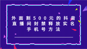 外面割500元的抖音直播间封禁释放实名/手机号方法!-网创项目