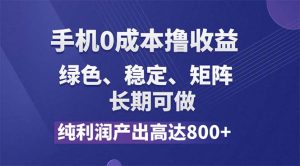 （11976期）纯利润高达800+，手机0成本撸羊毛，项目纯绿色，可稳定长期操作！-网创项目