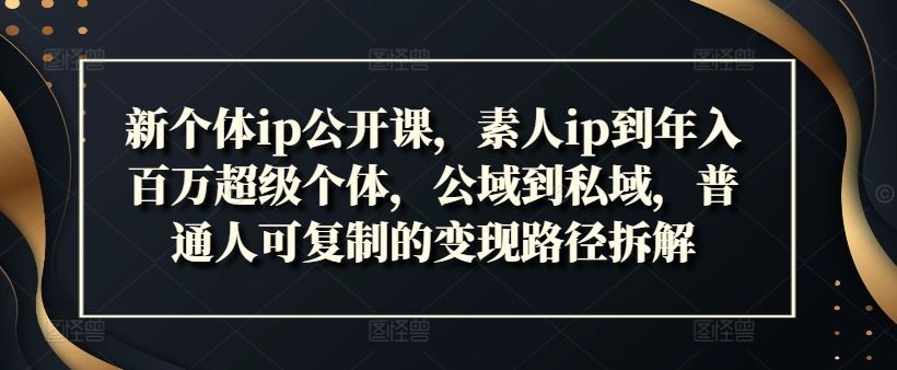 新个体ip公开课，素人ip到年入百万超级个体，公域到私域，普通人可复制的变现路径拆解-网创项目