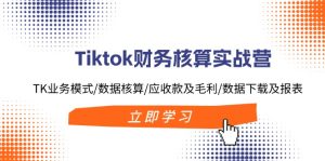 （11978期）Tiktok财务核算实战营：TK业务模式/数据核算/应收款及毛利/数据下载及报表-网创项目