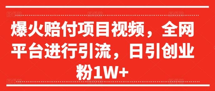 爆火赔付项目视频，全网平台进行引流，日引创业粉1W+【揭秘】-网创项目