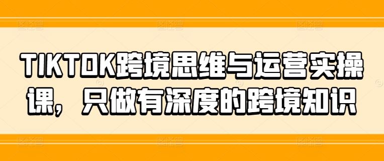 TIKTOK跨境思维与运营实操课，只做有深度的跨境知识-网创项目