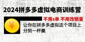（12024期）2024拼多多虚拟电商训练营 不s单 不改销量  做虚拟项目分一杯羹(更新10节)-网创项目