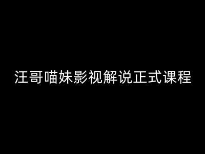 汪哥影视解说正式课程：剪映/PR教学/视解说剪辑5大黄金法则/全流程剪辑7把利器等等-网创项目