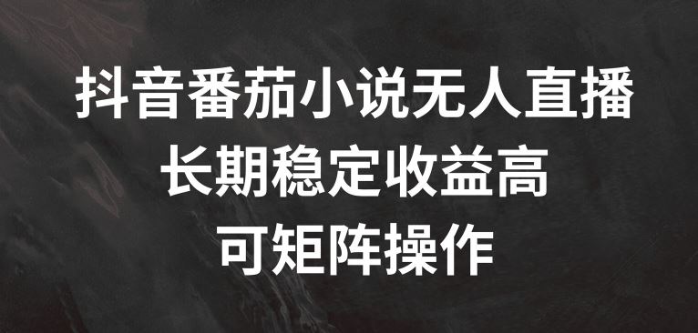 抖音番茄小说无人直播，长期稳定收益高，可矩阵操作【揭秘】-网创项目