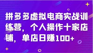 拼多多虚拟电商实战训练营，个人操作十家店铺，单店日赚100+-网创项目
