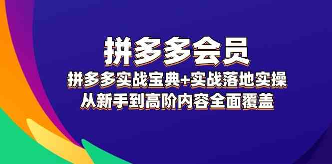 拼多多会员实战宝典+实战落地实操，从新手到高阶内容全面覆盖-网创项目