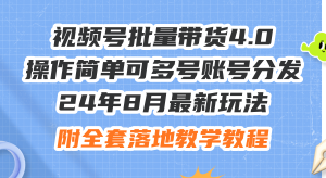 （12093期）24年8月最新玩法视频号批量带货4.0，操作简单可多号账号分发，附全套落…-网创项目