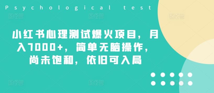 小红书心理测试爆火项目，月入7000+，简单无脑操作，尚未饱和，依旧可入局-网创项目