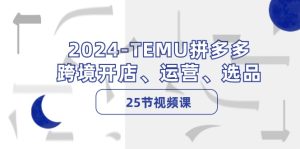 (12106期)2024-TEMU拼多多·跨境开店、运营、选品(25节视频课)-网创项目