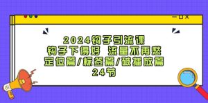 2024钩子引流课:钩子下得好流量不再愁,定位篇/标签篇/破播放篇/24节-网创项目