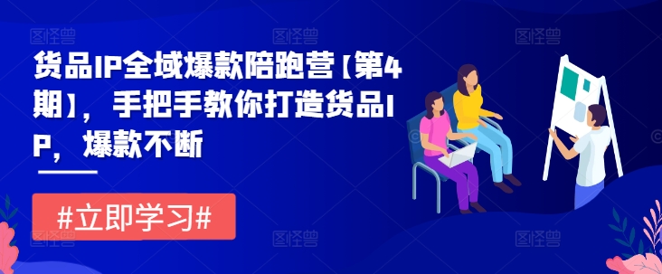 货品IP全域爆款陪跑营【第4期】，手把手教你打造货品IP，爆款不断-网创项目