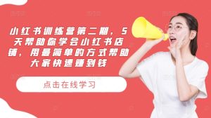 小红书训练营第二期，5天帮助你学会小红书店铺，用最简单的方式帮助大家快速赚到钱-网创项目