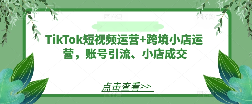 TikTok短视频运营+跨境小店运营，账号引流、小店成交-网创项目