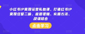 小红书IP变现运营私教课，打通红书IP变现任督二脉，底层逻辑、实操方法、战训结合-网创项目