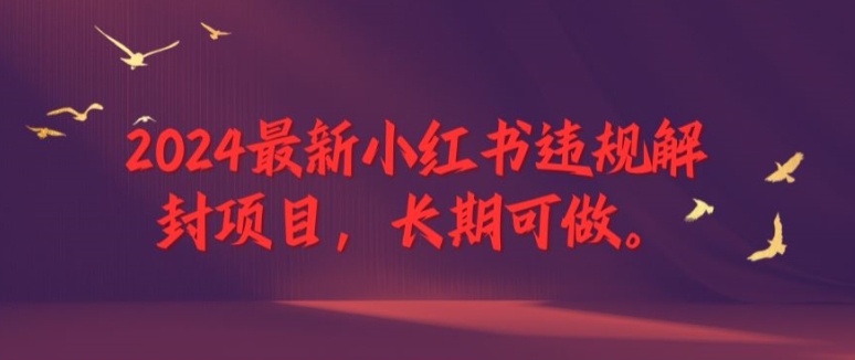 2024最新小红书违规解封项目，长期可做，一个可以做到退休的项目-网创项目