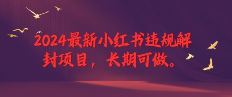 2024最新小红书违规解封项目，长期可做，一个可以做到退休的项目【揭秘】-网创项目