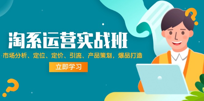 （12186期）淘系运营实战班：市场分析、定位、定价、引流、产品策划，爆品打造-网创项目
