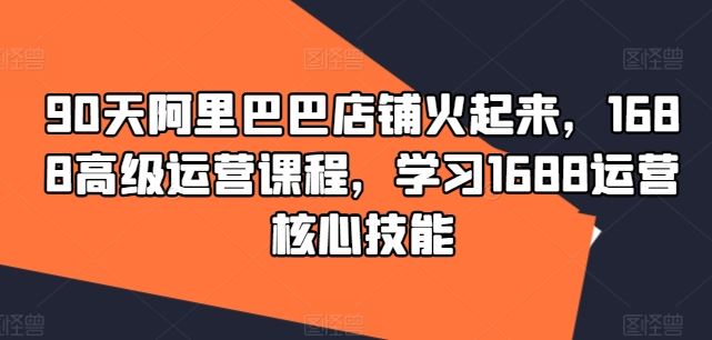 90天阿里巴巴店铺火起来，1688高级运营课程，学习1688运营核心技能-网创项目