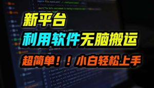 （12203期）B站平台用软件无脑搬运，月赚10000+，小白也能轻松上手-网创项目