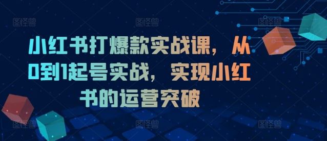 小红书打爆款实战课，从0到1起号实战，实现小红书的运营突破-网创项目