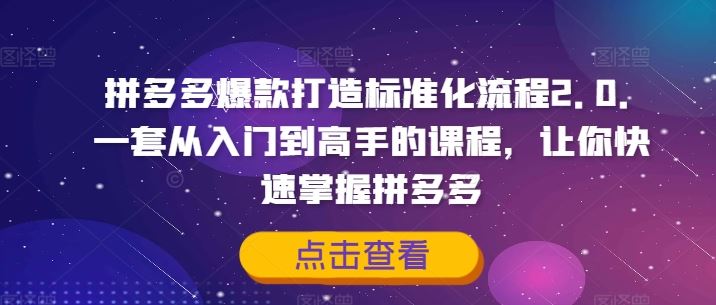 拼多多爆款打造标准化流程2.0，一套从入门到高手的课程，让你快速掌握拼多多-网创项目