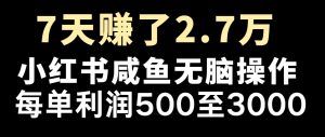 七天赚了2.7万！每单利润最少500+，轻松月入5万+小白有手就行-网创项目