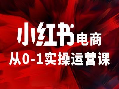 小红书电商从0-1实操运营课，让你从小白到精英-网创项目