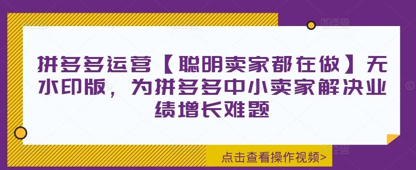 拼多多运营【聪明卖家都在做】无水印版，为拼多多中小卖家解决业绩增长难题-网创项目