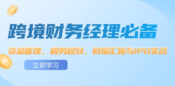（12323期）跨境 财务经理必备：资金管理、税务规划、财报汇报与IPO实战-网创项目