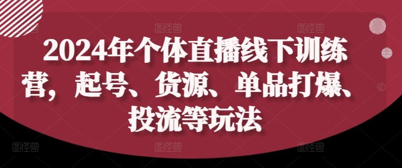 2024年个体直播训练营，起号、货源、单品打爆、投流等玩法-网创项目