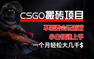 （12332期）CSGO 装备搬砖项目，操作简单，不需要会玩游戏，小白也能快速上手，一…-网创项目