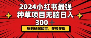 （12336期）2024小红书最强种草项目，无脑日入300+，复制粘帖即可，多劳多得-网创项目