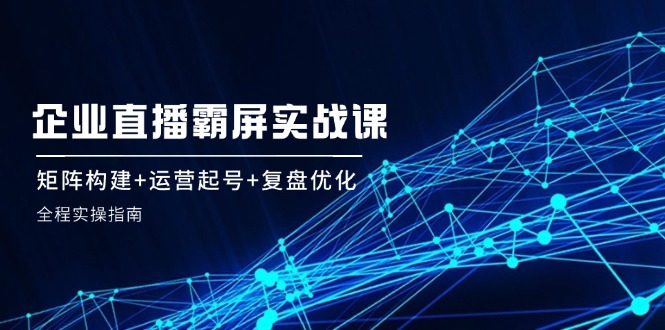 企业直播霸屏实战课：矩阵构建+运营起号+复盘优化，全程实操指南-网创项目