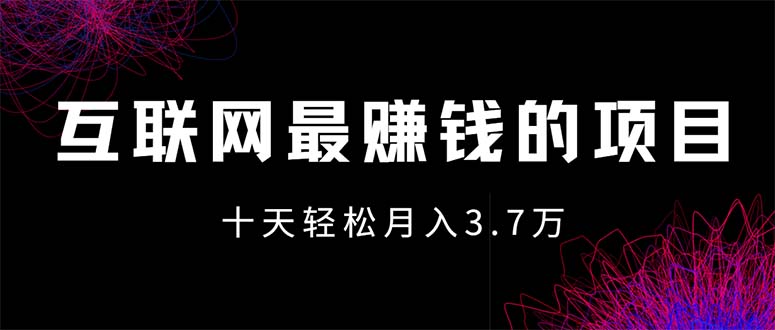 （12396期）互联网最赚钱的项目没有之一，轻松月入7万+，团队最新项目-网创项目