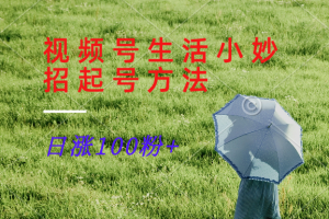 视频号生活小妙招分享赛道， 起号涨粉新方法，日涨100粉-网创项目