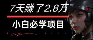 7天赚了2.8万！每单利润最少500+，轻松月入7万+小白有手就行-网创项目
