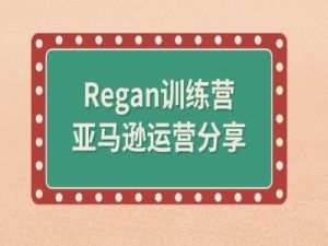 亚马逊流程全解析(Regan训练营)-网创项目